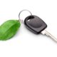 key with a green leaf